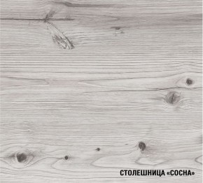 АСАЯ Кухонный гарнитур Экстра (3000 мм) в Верхней Пышме - verhnyaya-pyshma.ok-mebel.com | фото 8