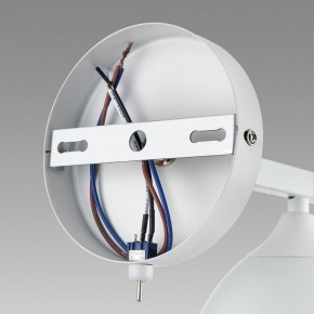 Бра Lumion Colange 8095/1W в Верхней Пышме - verhnyaya-pyshma.ok-mebel.com | фото 6