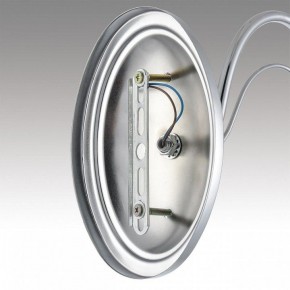 Бра Lumion INCANTO 8034/1W в Верхней Пышме - verhnyaya-pyshma.ok-mebel.com | фото 7