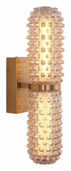 Бра ST-Luce SAGUARO SL6144.301.01 в Верхней Пышме - verhnyaya-pyshma.ok-mebel.com | фото 2