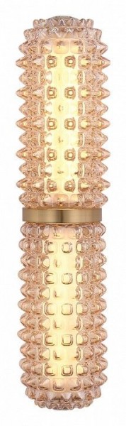 Бра ST-Luce SAGUARO SL6144.301.01 в Верхней Пышме - verhnyaya-pyshma.ok-mebel.com | фото 3