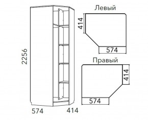 Детская Фанк Шкаф угловой Левый/Правый НМ 013.04-02 М в Верхней Пышме - verhnyaya-pyshma.ok-mebel.com | фото 3