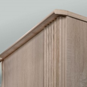 ДИАНА Д11 Шкаф для одежды в Верхней Пышме - verhnyaya-pyshma.ok-mebel.com | фото 6