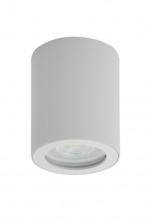 DK3007-WH Накладной светильник влагозащ., IP 44, 15 Вт, GU10, белый, алюминий в Верхней Пышме - verhnyaya-pyshma.ok-mebel.com | фото