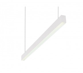 DK9124-WH Линейный светильник 30W 1250mm 4000K, белый в Верхней Пышме - verhnyaya-pyshma.ok-mebel.com | фото