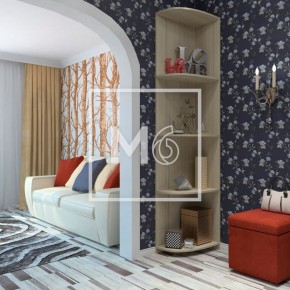 Дополнения к шкафам МФ М6 в Верхней Пышме - verhnyaya-pyshma.ok-mebel.com | фото 8