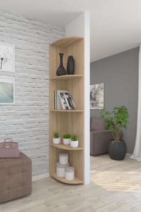 Дополнения к шкафам МФ М6 в Верхней Пышме - verhnyaya-pyshma.ok-mebel.com | фото 13