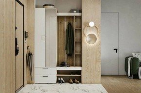 Гарнитур для прихожей Торонто в Верхней Пышме - verhnyaya-pyshma.ok-mebel.com | фото 5