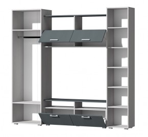 Гостиная Эмми (Анкор светлый/Графит) в Верхней Пышме - verhnyaya-pyshma.ok-mebel.com | фото 3