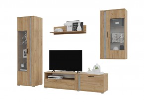Гостиная Омега (Крафт золотой-Бетон) в Верхней Пышме - verhnyaya-pyshma.ok-mebel.com | фото 2
