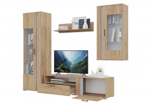 Гостиная Омега (Крафт золотой-Бетон) в Верхней Пышме - verhnyaya-pyshma.ok-mebel.com | фото 4
