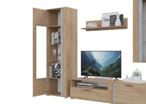 Гостиная Омега (Крафт золотой-Бетон) в Верхней Пышме - verhnyaya-pyshma.ok-mebel.com | фото 5