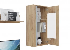 Гостиная Омега (Крафт золотой-Бетон) в Верхней Пышме - verhnyaya-pyshma.ok-mebel.com | фото 6