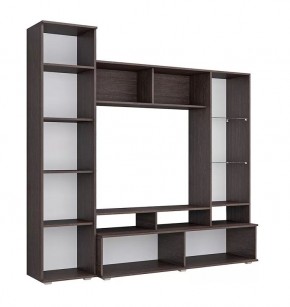 Гостиная Софи (венге/белый глянец) в Верхней Пышме - verhnyaya-pyshma.ok-mebel.com | фото 3