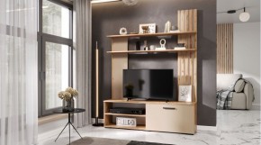КАРОЛИНА Гостиная в Верхней Пышме - verhnyaya-pyshma.ok-mebel.com | фото 2