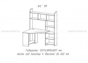 Компьютерный стол №19 (Анкор темный) в Верхней Пышме - verhnyaya-pyshma.ok-mebel.com | фото 3