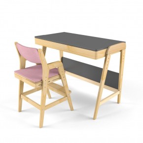 Комплект растущий стол и стул с чехлом 38 попугаев «Вуди» (Серый, Береза, Розовый) в Верхней Пышме - verhnyaya-pyshma.ok-mebel.com | фото