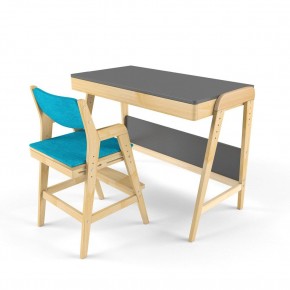 Комплект растущий стол и стул с чехлом 38 попугаев «Вуди» (Серый, Без покрытия, Лазурь) в Верхней Пышме - verhnyaya-pyshma.ok-mebel.com | фото