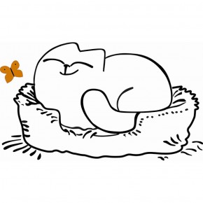 Кровать двухуровневая Кот № 900.1 ЛЕВАЯ (туя светлая/белый) в Верхней Пышме - verhnyaya-pyshma.ok-mebel.com | фото 2