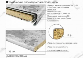 Кухонный фартук со столешницей (А-07) в едином стиле (3050 мм) в Верхней Пышме - verhnyaya-pyshma.ok-mebel.com | фото 6
