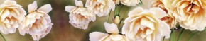 Кухонный фартук Цветы 066 МДФ матовый (3000) Flowers в Верхней Пышме - verhnyaya-pyshma.ok-mebel.com | фото