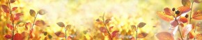 Кухонный фартук Цветы 318 МДФ матовый (3000) Flowers в Верхней Пышме - verhnyaya-pyshma.ok-mebel.com | фото 1