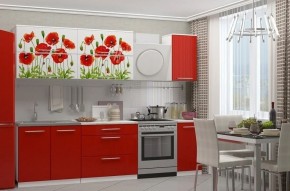 МАКИ КРАСНЫЕ Кухонный гарнитур 2.0 в Верхней Пышме - verhnyaya-pyshma.ok-mebel.com | фото