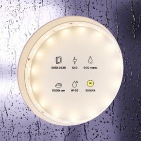 Лента светодиодная Maytoni Led strip 10105 в Верхней Пышме - verhnyaya-pyshma.ok-mebel.com | фото 2