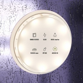 Лента светодиодная Maytoni Led strip 10124 в Верхней Пышме - verhnyaya-pyshma.ok-mebel.com | фото 3