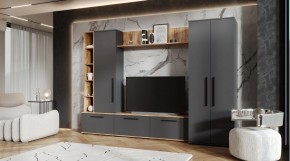 ЛЕВАНТЕ Гостиная в Верхней Пышме - verhnyaya-pyshma.ok-mebel.com | фото