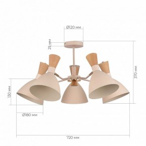 Люстра на штанге EVOLUCE VISTA SLE1256-502-05 в Верхней Пышме - verhnyaya-pyshma.ok-mebel.com | фото 8