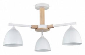 Люстра на штанге Lumion Colange 8095/3C в Верхней Пышме - verhnyaya-pyshma.ok-mebel.com | фото