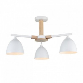 Люстра на штанге Lumion Colange 8095/3C в Верхней Пышме - verhnyaya-pyshma.ok-mebel.com | фото 2