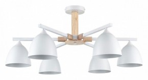 Люстра на штанге Lumion Colange 8095/6C в Верхней Пышме - verhnyaya-pyshma.ok-mebel.com | фото