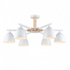 Люстра на штанге Lumion Colange 8095/6C в Верхней Пышме - verhnyaya-pyshma.ok-mebel.com | фото 2