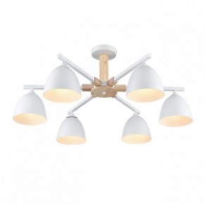 Люстра на штанге Lumion Colange 8095/6C в Верхней Пышме - verhnyaya-pyshma.ok-mebel.com | фото 3