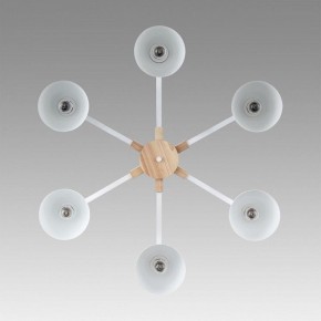 Люстра на штанге Lumion Colange 8095/6C в Верхней Пышме - verhnyaya-pyshma.ok-mebel.com | фото 4