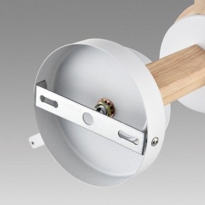Люстра на штанге Lumion Colange 8095/6C в Верхней Пышме - verhnyaya-pyshma.ok-mebel.com | фото 6
