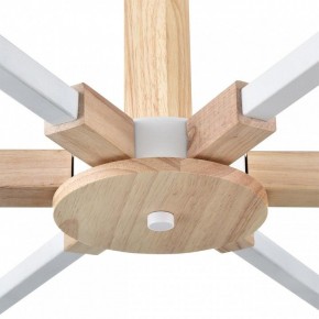 Люстра на штанге Lumion Colange 8095/6C в Верхней Пышме - verhnyaya-pyshma.ok-mebel.com | фото 7