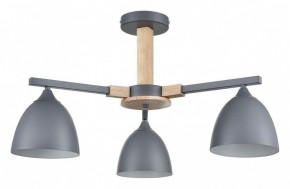 Люстра на штанге Lumion Colange 8096/3C в Верхней Пышме - verhnyaya-pyshma.ok-mebel.com | фото