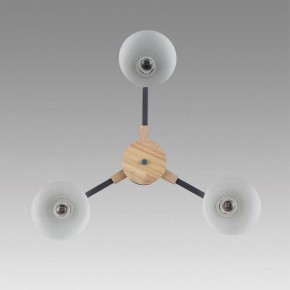 Люстра на штанге Lumion Colange 8096/3C в Верхней Пышме - verhnyaya-pyshma.ok-mebel.com | фото 4