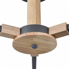 Люстра на штанге Lumion Colange 8096/3C в Верхней Пышме - verhnyaya-pyshma.ok-mebel.com | фото 7