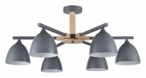Люстра на штанге Lumion Colange 8096/6C в Верхней Пышме - verhnyaya-pyshma.ok-mebel.com | фото