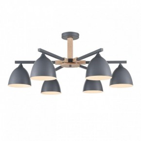 Люстра на штанге Lumion Colange 8096/6C в Верхней Пышме - verhnyaya-pyshma.ok-mebel.com | фото 2