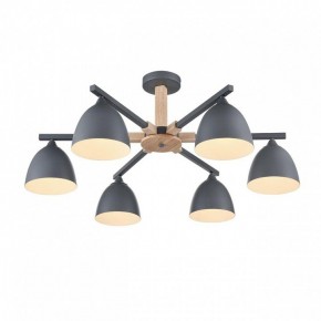 Люстра на штанге Lumion Colange 8096/6C в Верхней Пышме - verhnyaya-pyshma.ok-mebel.com | фото 3