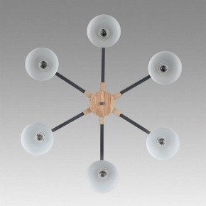 Люстра на штанге Lumion Colange 8096/6C в Верхней Пышме - verhnyaya-pyshma.ok-mebel.com | фото 4