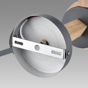 Люстра на штанге Lumion Colange 8096/6C в Верхней Пышме - verhnyaya-pyshma.ok-mebel.com | фото 6