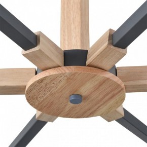 Люстра на штанге Lumion Colange 8096/6C в Верхней Пышме - verhnyaya-pyshma.ok-mebel.com | фото 7