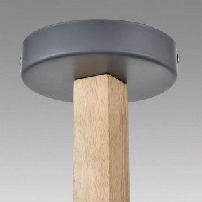 Люстра на штанге Lumion Colange 8096/6C в Верхней Пышме - verhnyaya-pyshma.ok-mebel.com | фото 9
