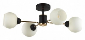 Люстра на штанге Lumion KODI 5646/4C в Верхней Пышме - verhnyaya-pyshma.ok-mebel.com | фото